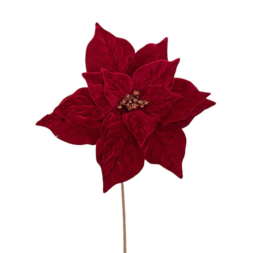RedPoinsettia on Stem