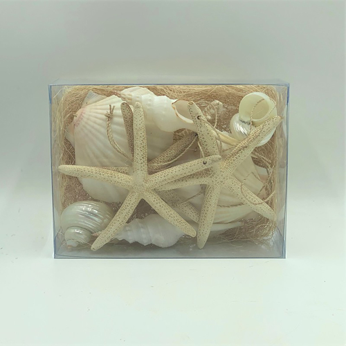 Buy White Shell and Starfish Decorations Assorted in Box 10pc in Australia