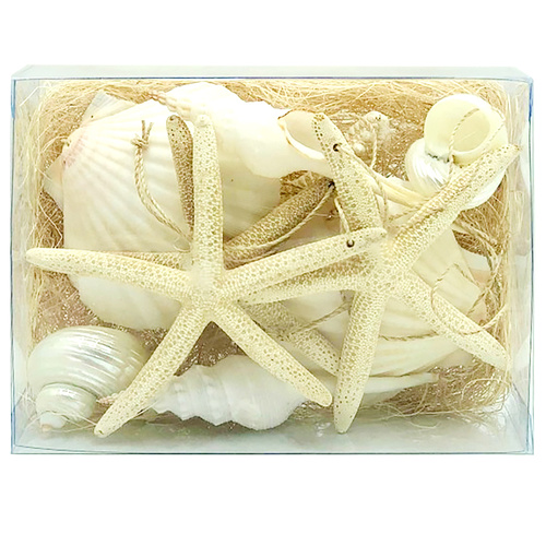 White Shell and Starfish Christmas Decorations in Box 10pc
