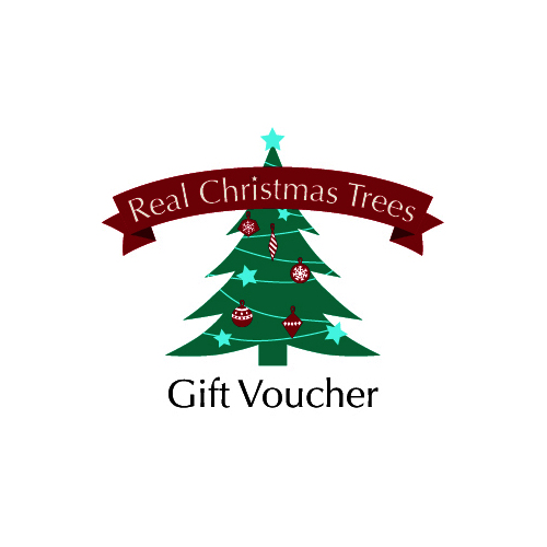$100 Gift Voucher