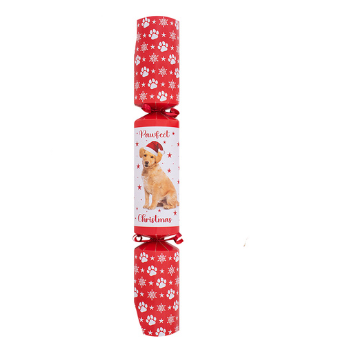 Pet Dog Pawfect Christmas Cracker 35cm