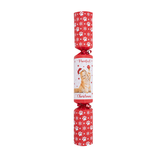 Pet Cat Purfect Christmas Cracker 35cm