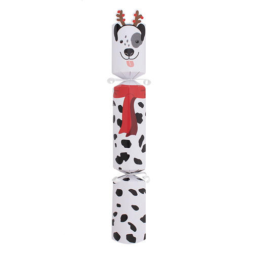 Pet Spotty Dog Christmas Cracker 35cm