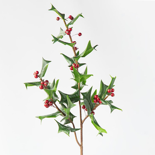 Green Holly Spray 50cm