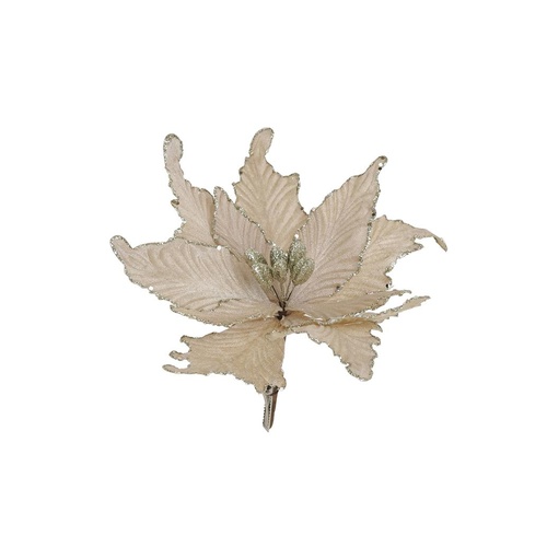 Poinsettia Beige Champagne Clip on