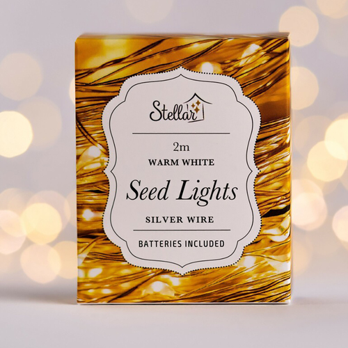 Seed Lights 2m Warm White/ Silver Wire