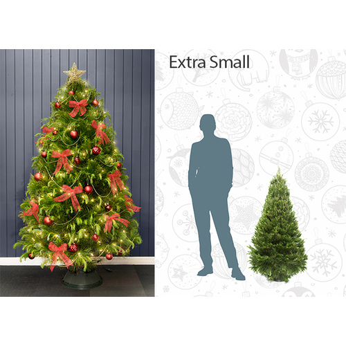 Decorated Tree Hire [Colour: Red] [Size: Extra Small Tree (1.2 to 1.5m)]
